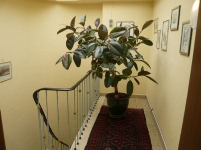 Penthouse Wohnung mit 2 Zimmer, 2 Balkone und EBK in der Innenstadt/Fußgängerzone Hamm